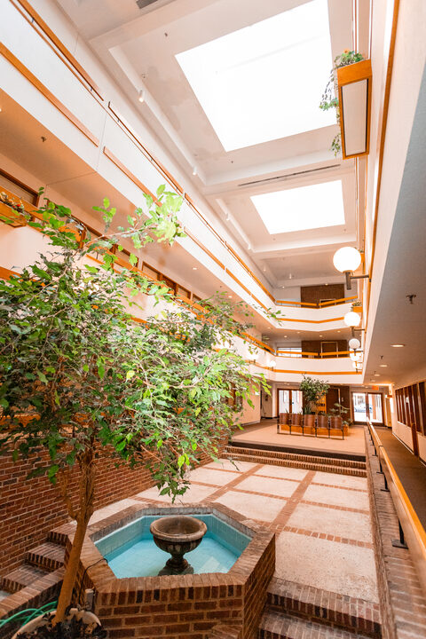 Greenery along the atrium galleries